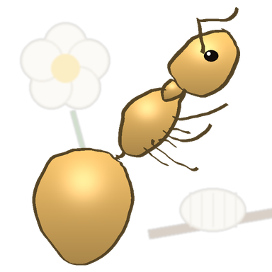 Brachymyrmex depilis card art