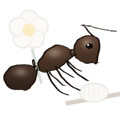 Lasius niger card art